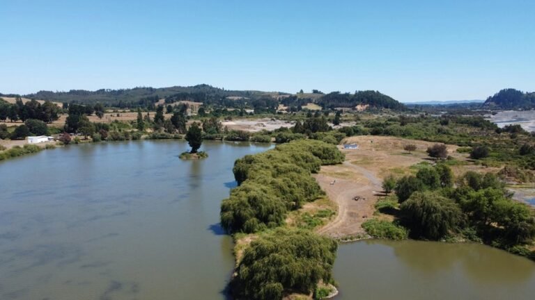 a2movies malayalam film collection