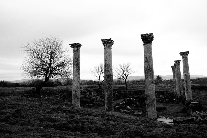 discover films on yts am