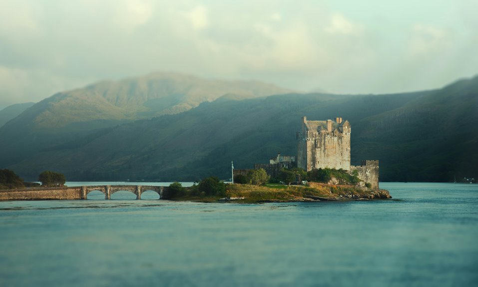 yomovies online movie platform